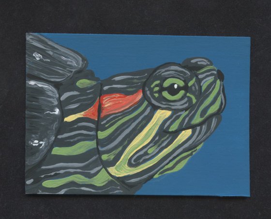 ACEO ATC Original Miniature Painting Red Ear Slider Pet Turtle Wildlife Art-Carla Smale