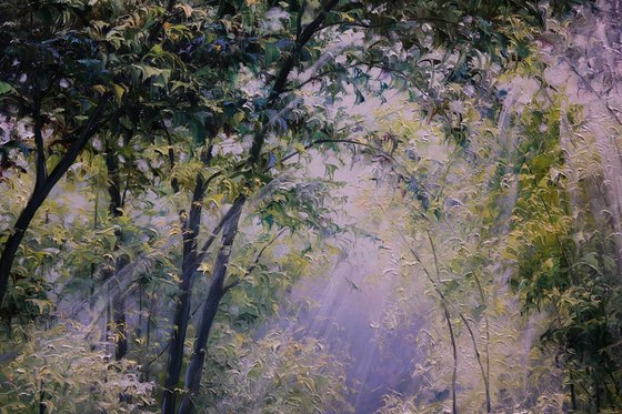 "Rays over the water"