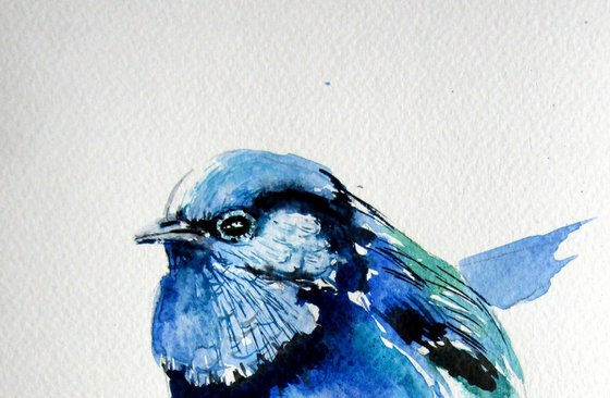 Little blue bird