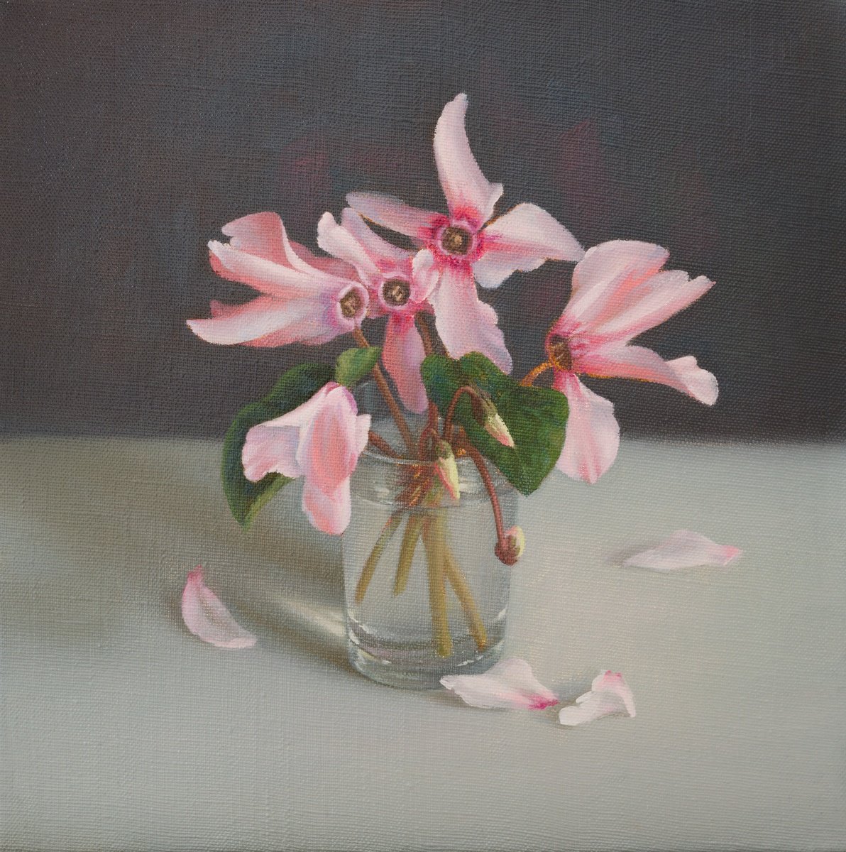 Photorealistic Still Life Oil Painting By Irina Trushkova, 12 X 12, Cyclamens, Original Artwork