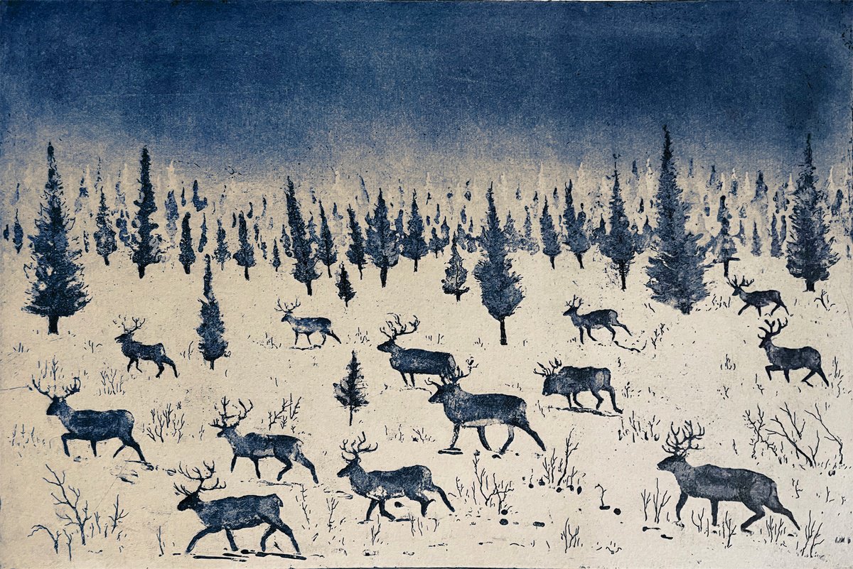 Where Reindeer Roam by Tim Southall