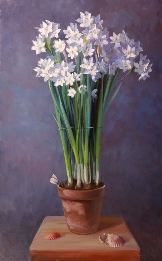 "White Daffodils"