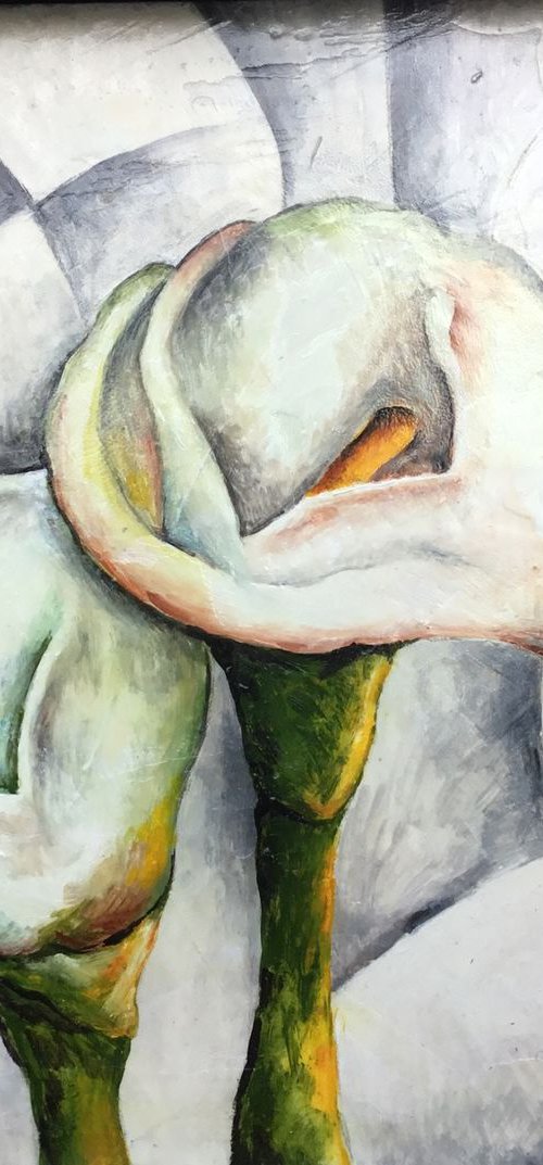 Calla lilies n. 1 by Jg Wilson