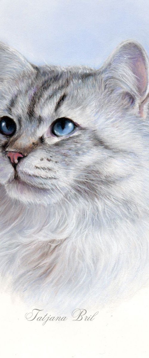 White on white by Tatjana Bril