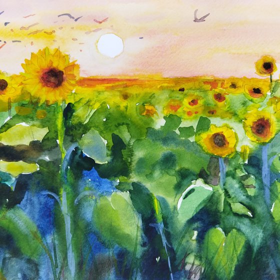 Yellow sunflowers