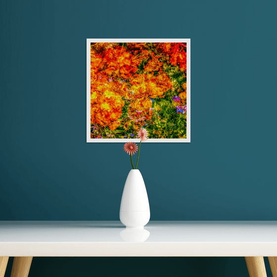 Summer Meadows #11. Limited Edition 1/25 12x12 inch Abstract Photographic Print.