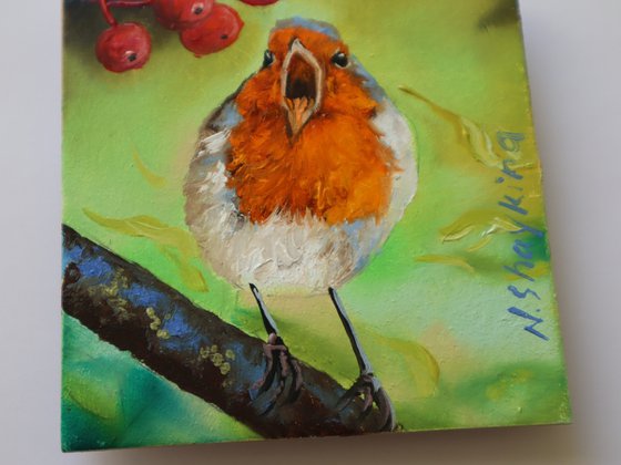 Robin