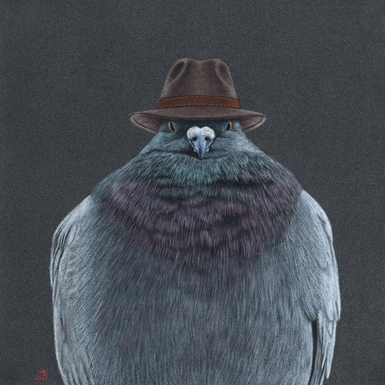 Original pastel drawing bird "Don Pigeon"