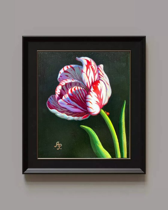 Tulip and ladybug