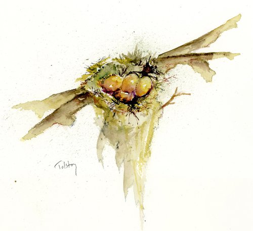 Bird's Nest by Alex Tolstoy