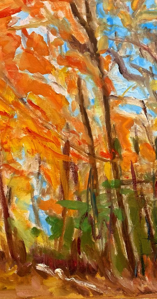 An Autumn Forest by Kat X