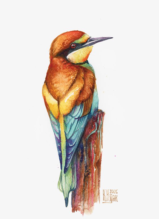 Bee-eater