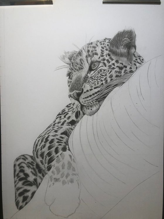 Resting Leopard
