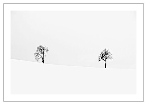 Two Trees