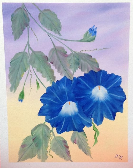 Blue Flowers