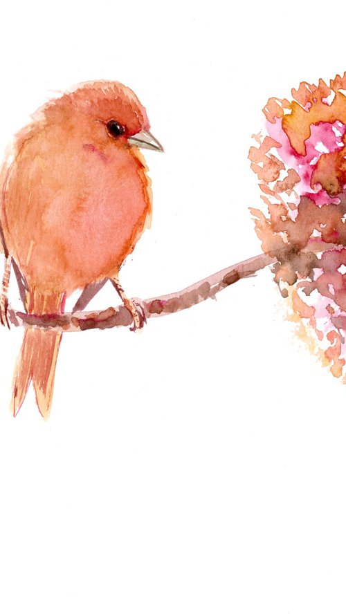 Peach Canary Bird and Flower by Suren Nersisyan