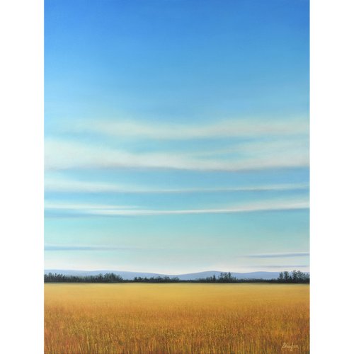 Summer Day - Blue Sky Landscape by Suzanne Vaughan