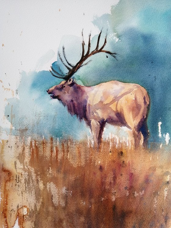 deer 7