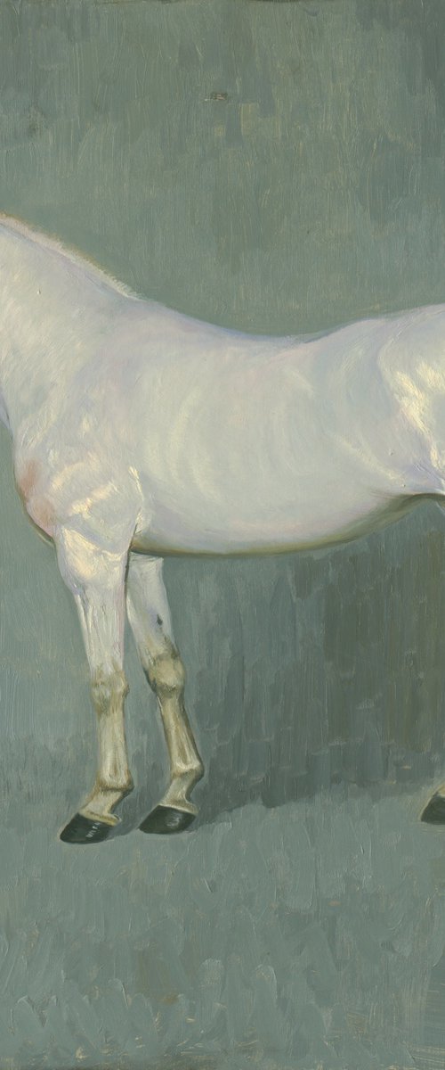 Connemara by Simon Kozhin