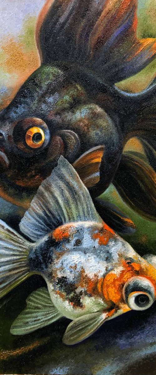 Fish telescopes by Serhii Voichenko