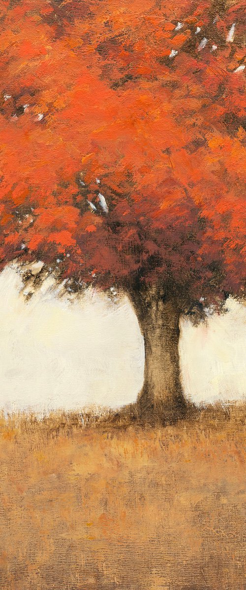 Red Maple Tree 260302 by Don Bishop