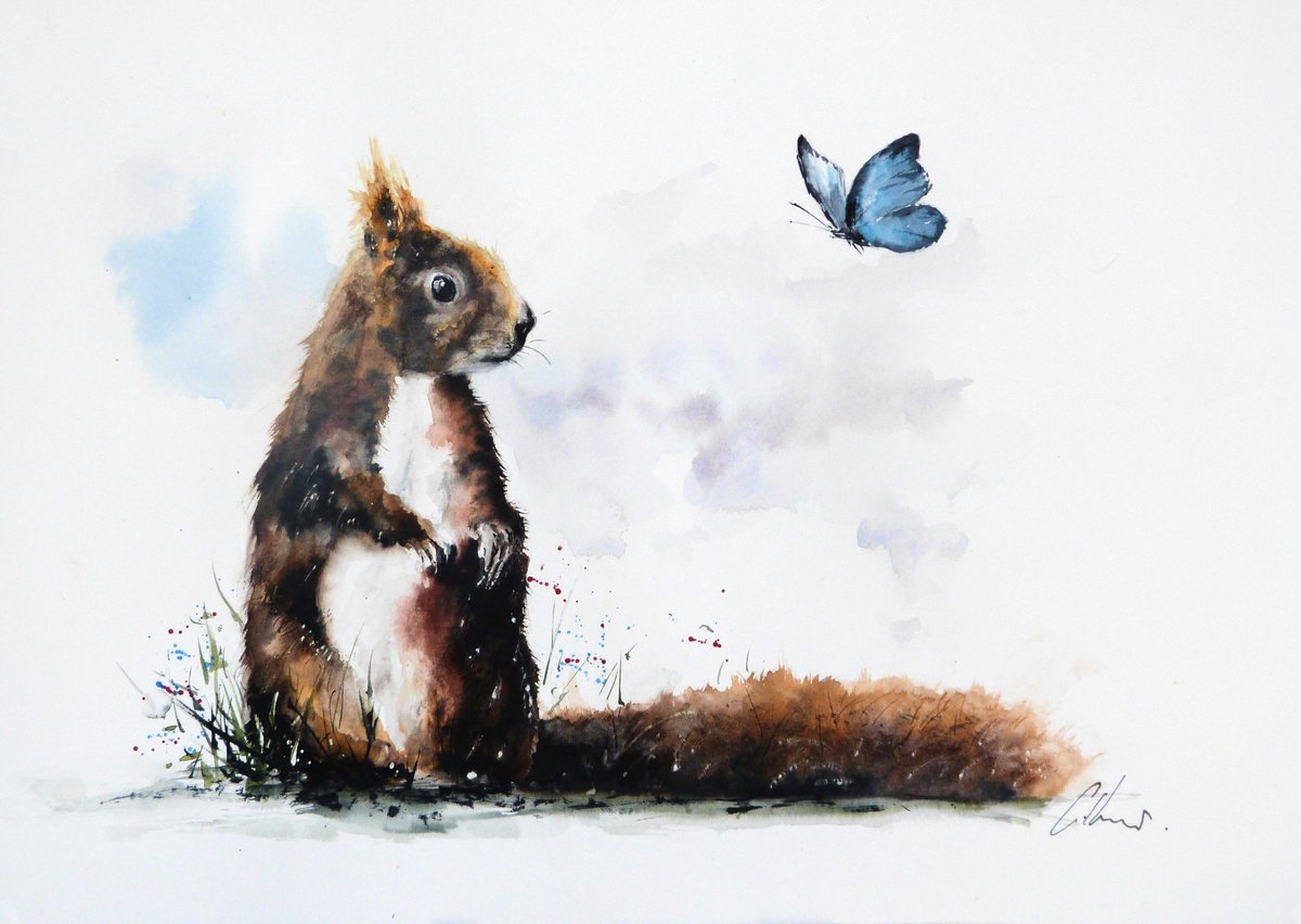 The Squirrel and the Butterfly. by Graham Kemp