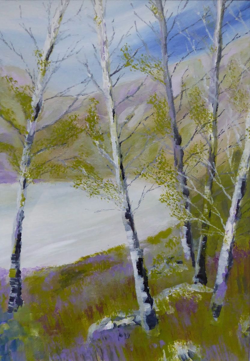 Lakeland Birches by Elaine Allender