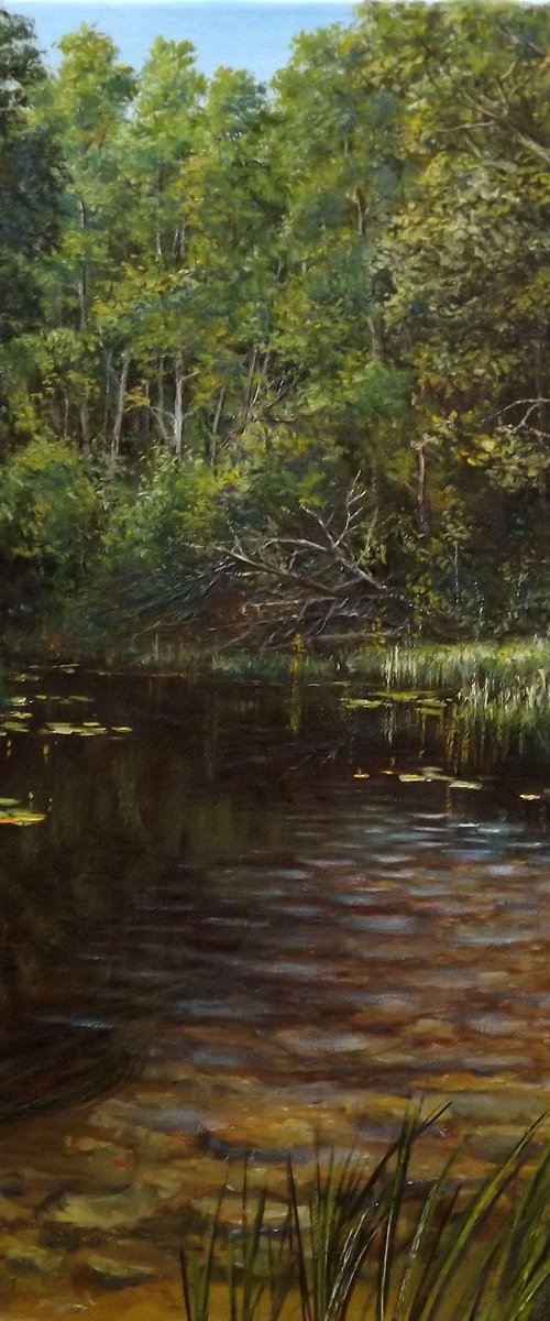 Forest Brook by Oleg Riabchuk