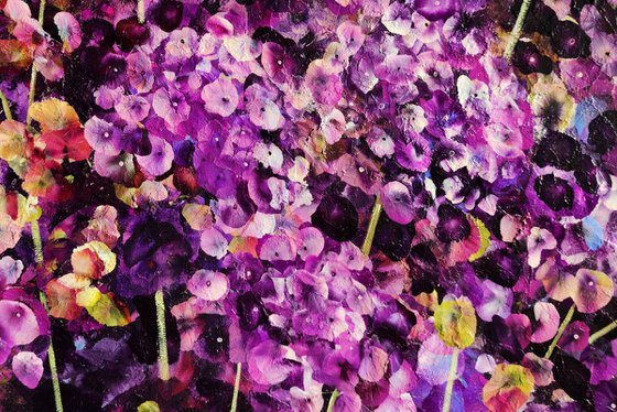 Violet Rhapsody
