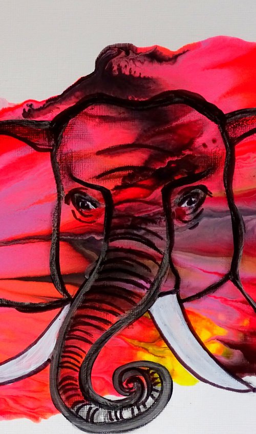 Elephant 1 pink by CB.