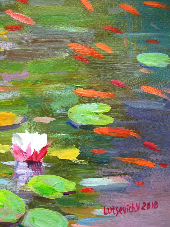 Water Lily lake