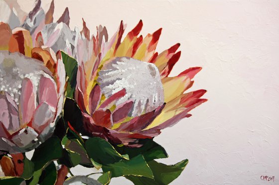 Protea #1