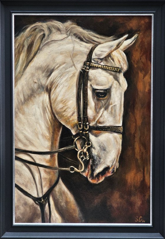 Andalusian-Original Horse Portrait