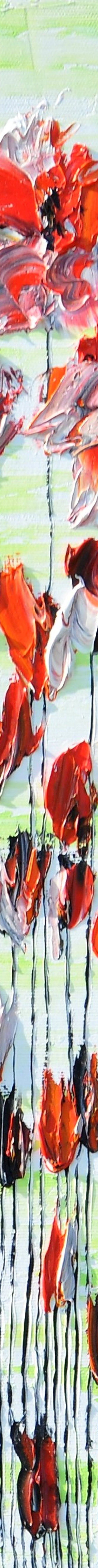 Poppy Flowers by Daniel Urbaník