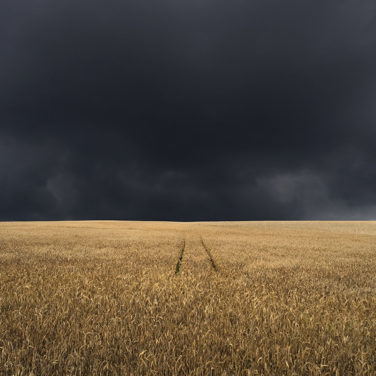 Photorealistic Landscape Photograph By Jacek Falmur, 20 X 20, The Vanishing Road, Original Artwork