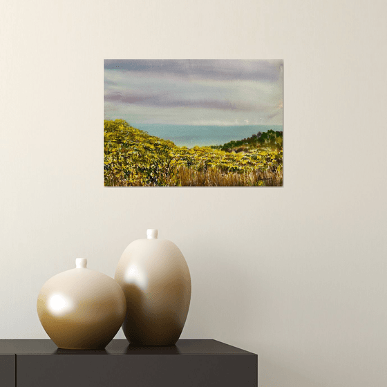 Special Studland, Dorset