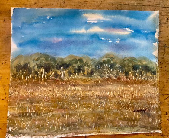 Durlston country park, Dorset