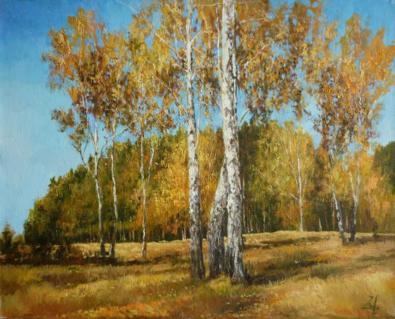 Three Birch Trees