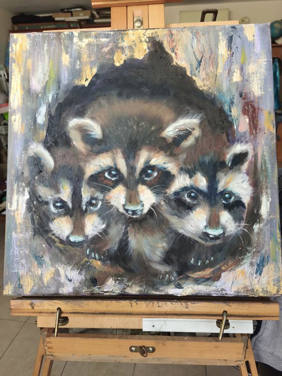 Raccoon Family
