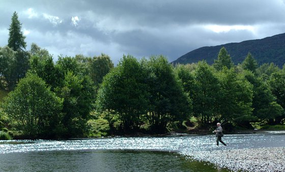 Salmom Fishing, River Tweed, Scotland