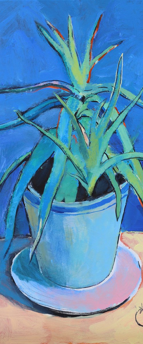 Aloe and Tomato by Artem Andreichuk