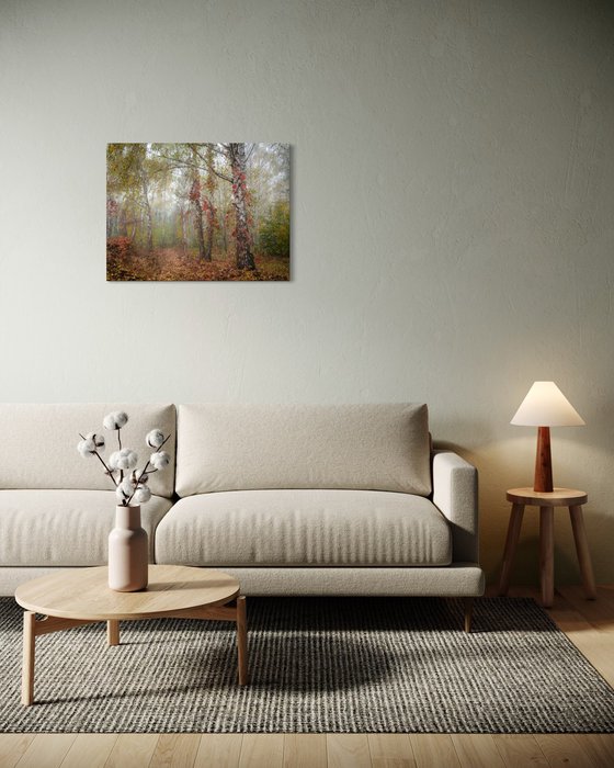 Autumn Calm II — Misty Birches
