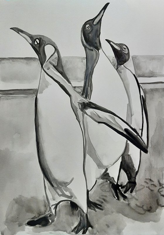 Pinguins / 42 x 29,7 cm