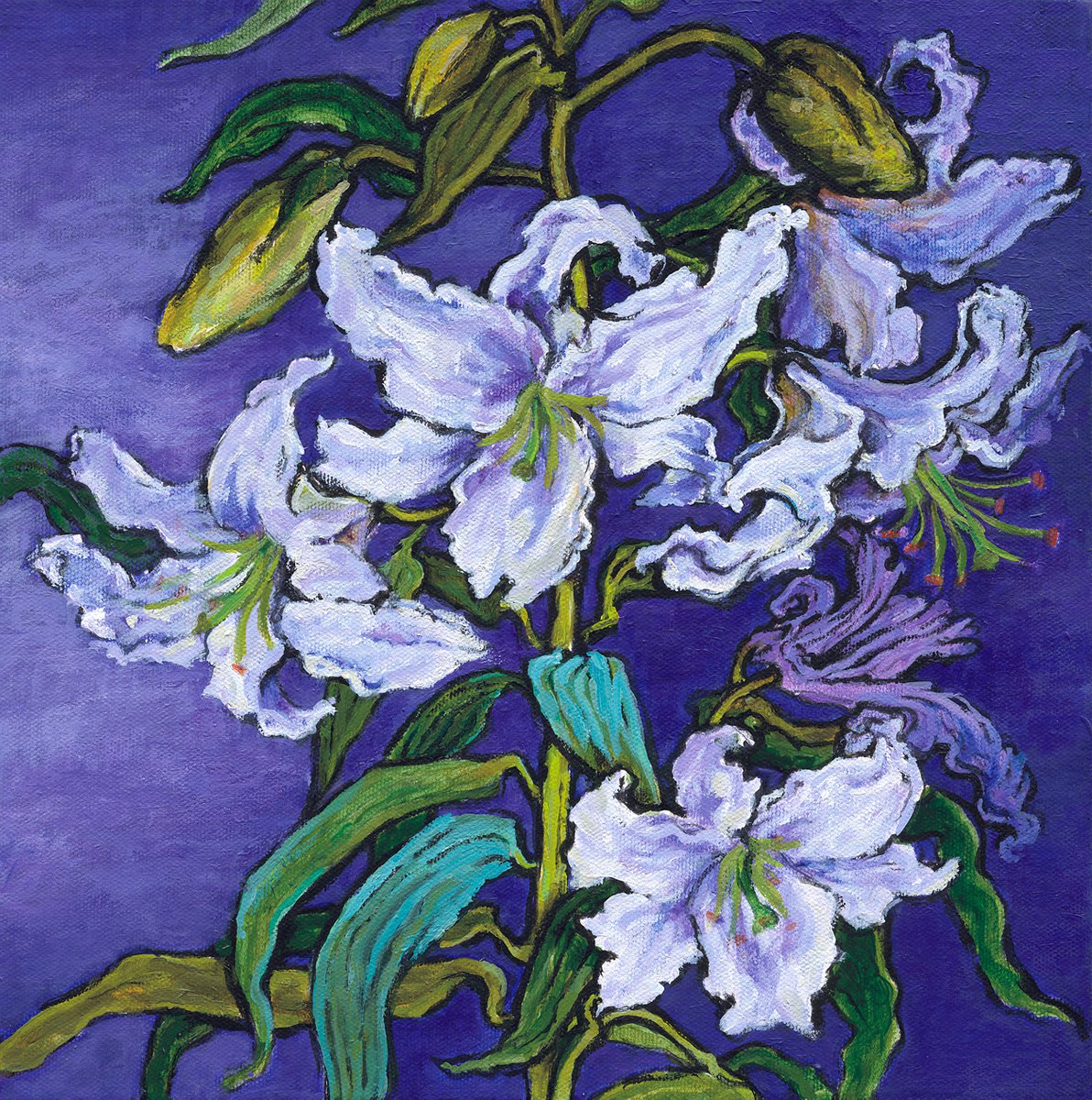 Lily on Purple background by Patricia Clements