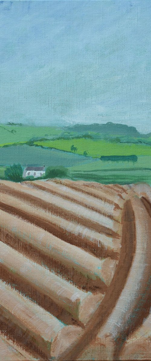 Potato Field by Alison Deegan