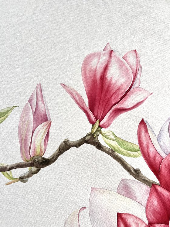 "Between tenderness and strength"