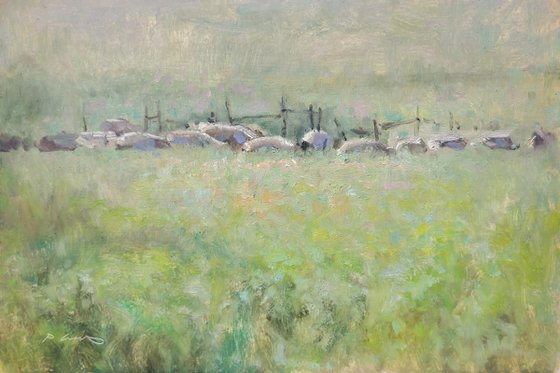 Flock of Sheep