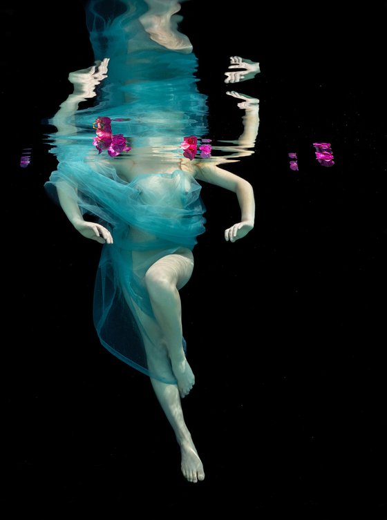 Dancing Flowers - underwater photograph - print on aluminum