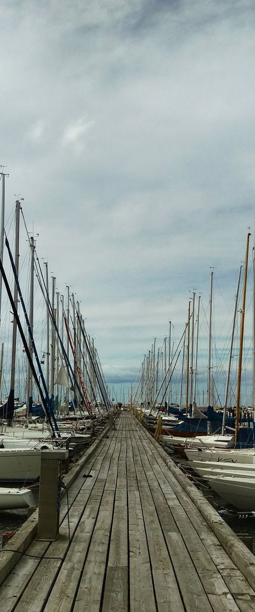 Harbour, 21x21 Inches, C-Type, Framed by Amadeus Long