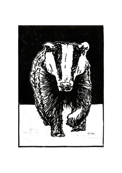Badger by Bob Cooper